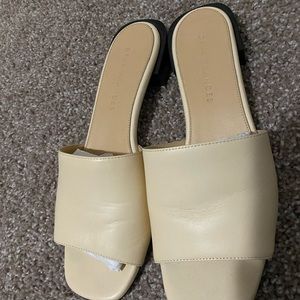 Dear Frances Bridge slide